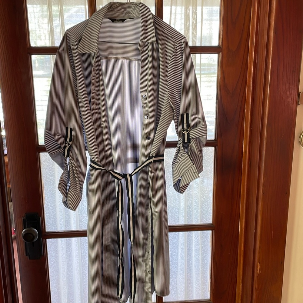 Mlle Gabrielle size 2X button up blue stripe dress